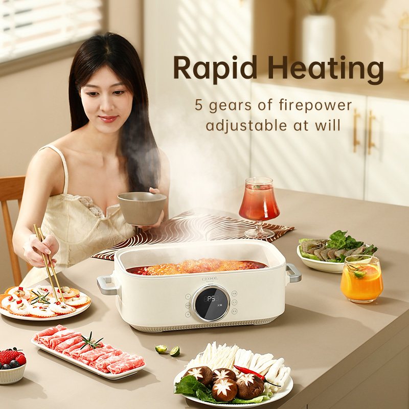 10L 3-in-1 Electric Food Steam - Home Cooking Restaurants review and price